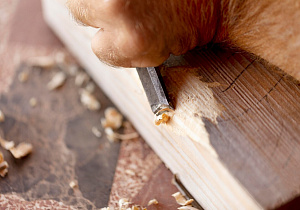 Лучшие породы дерева для рельефной резьбы