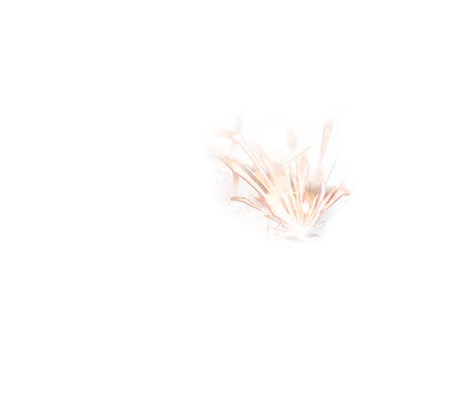 Лазерная гравировка