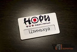 Пример изделия из пластика, № 27